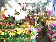 「メロディーフェア」　（東京都羽村市）の花屋店舗写真3