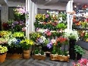 「メロディーフェア」　（東京都羽村市）の花屋店舗写真2
